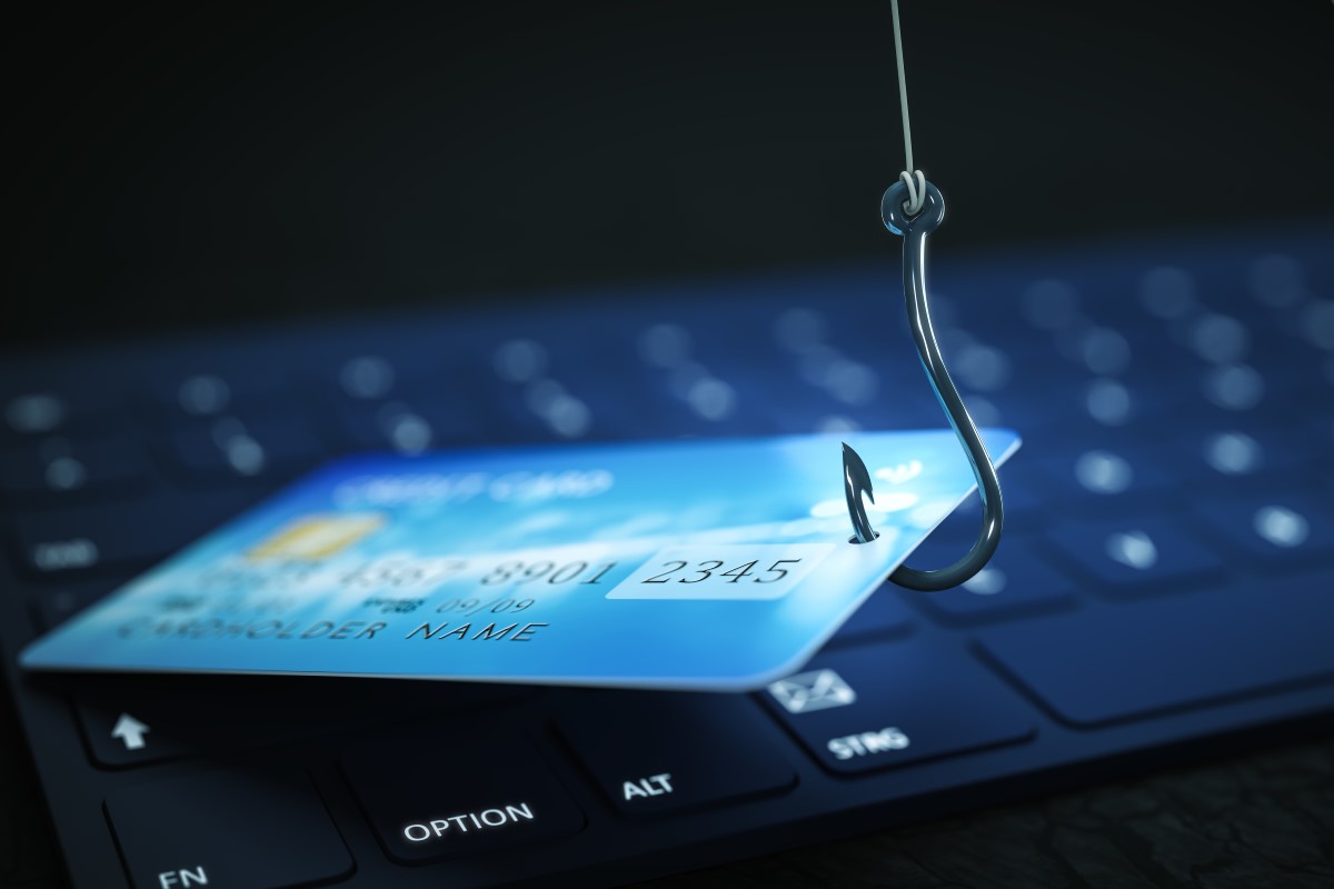 Don’t Take the Bait: How to Avoid a Phishing Attack